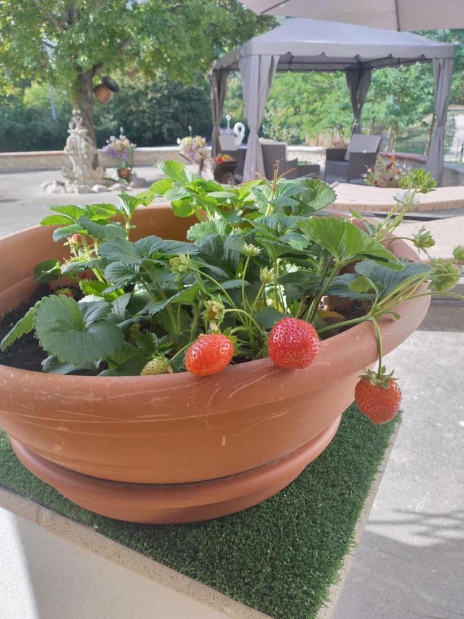 "Il Miglio" Country House Pettorano sul Gizio Exterior photo